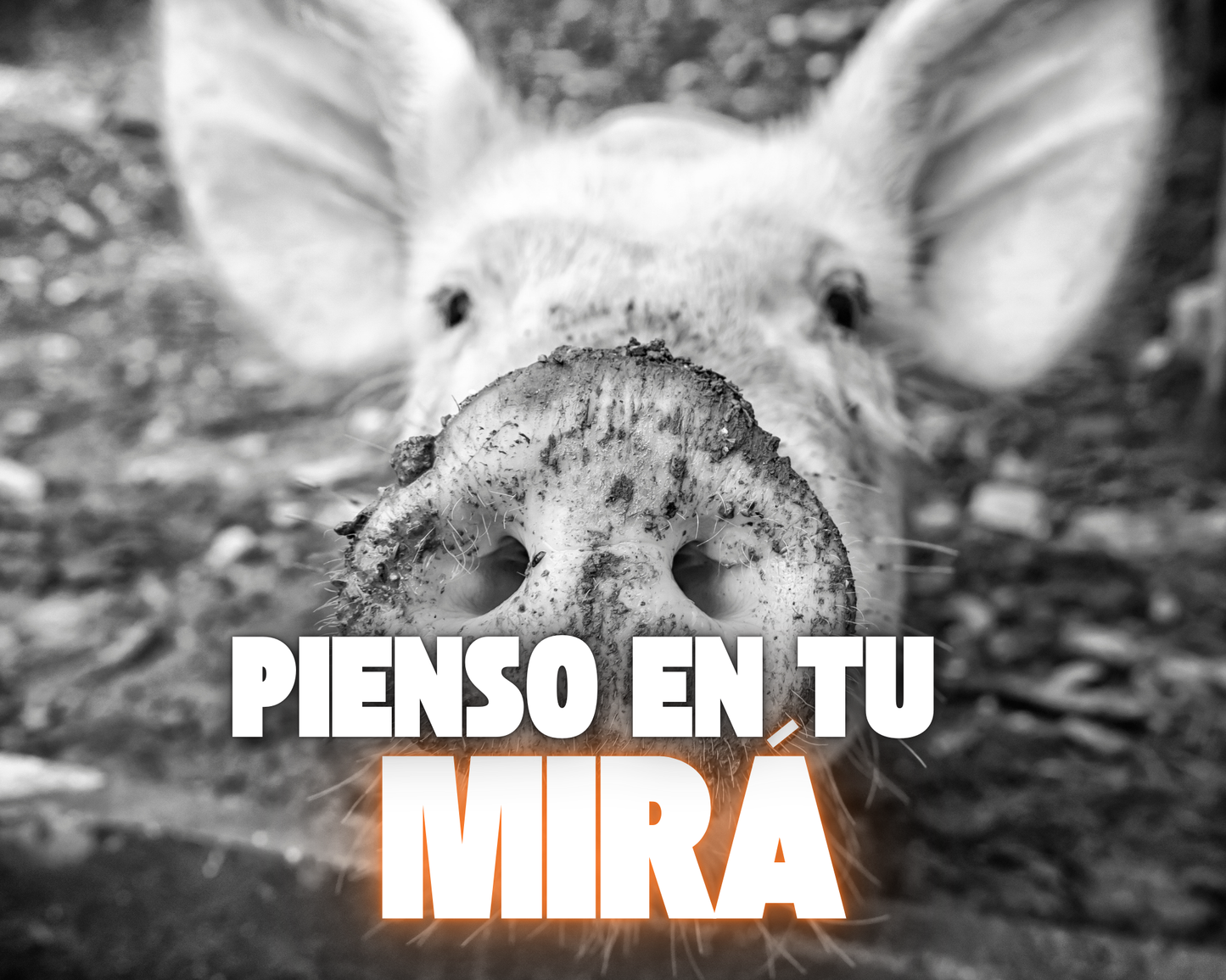 Pienso en tu mirá