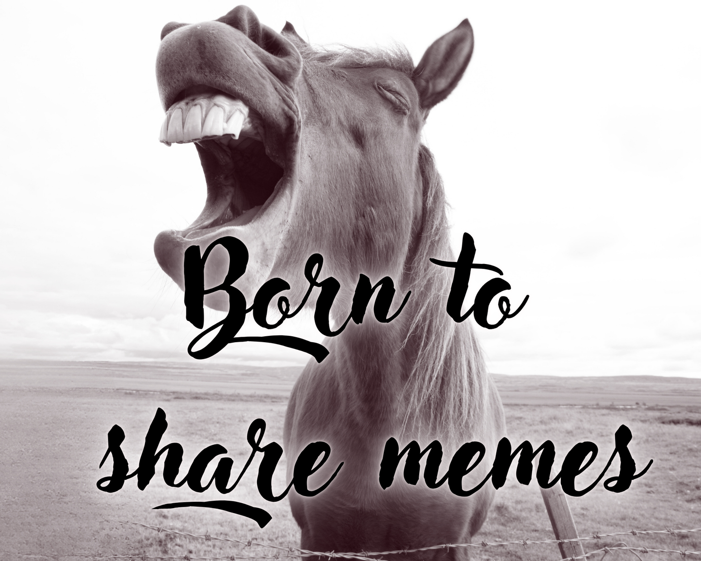 Born to share memes