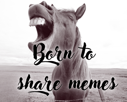 Born to share memes