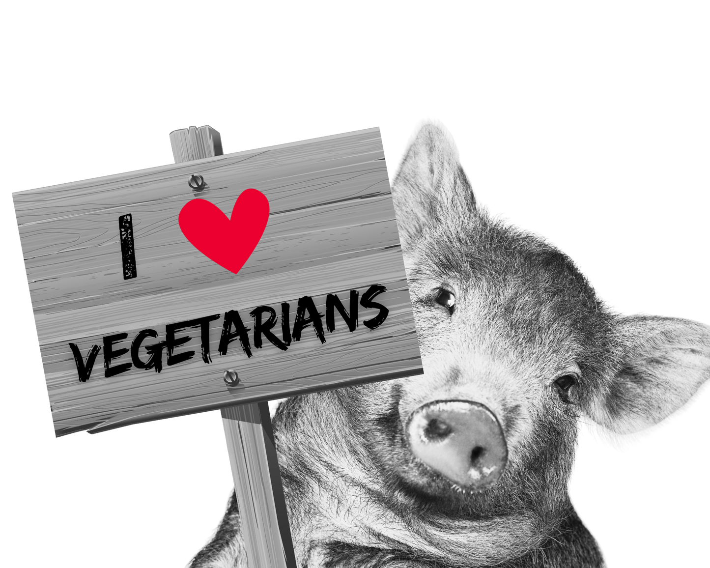 I love vegetarians